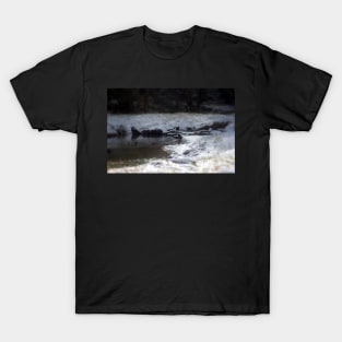 snowy Oregon forest , Fox Creek 8 T-Shirt